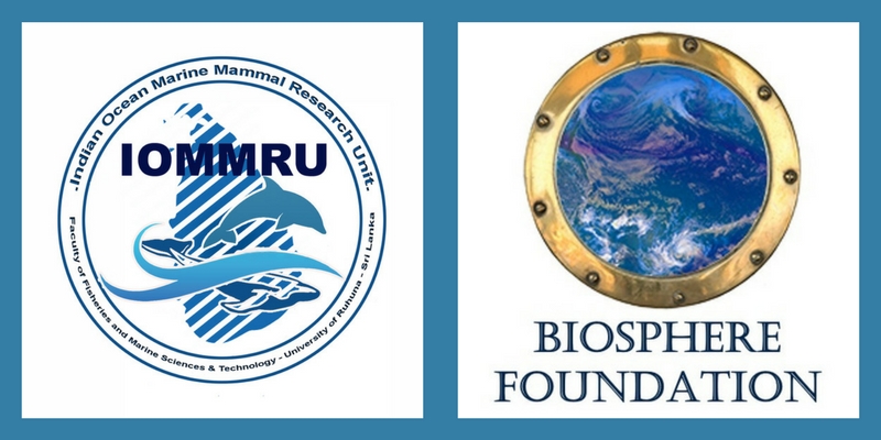 Biosphere Foundation Homepage - Biosphere Foundation